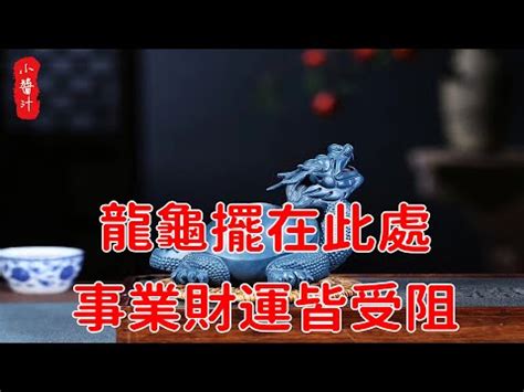 龍龜配戴禁忌|龍龜的風水擺設意義